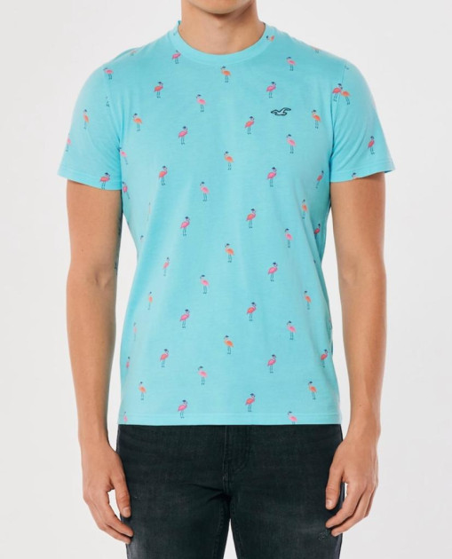 Hollister 2025 flamingo shirt